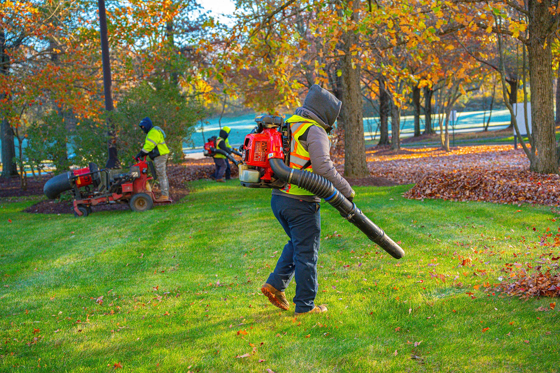 Leaf removal crew using backpack blowers to clear fall leaves from a lawn in Andover, MA